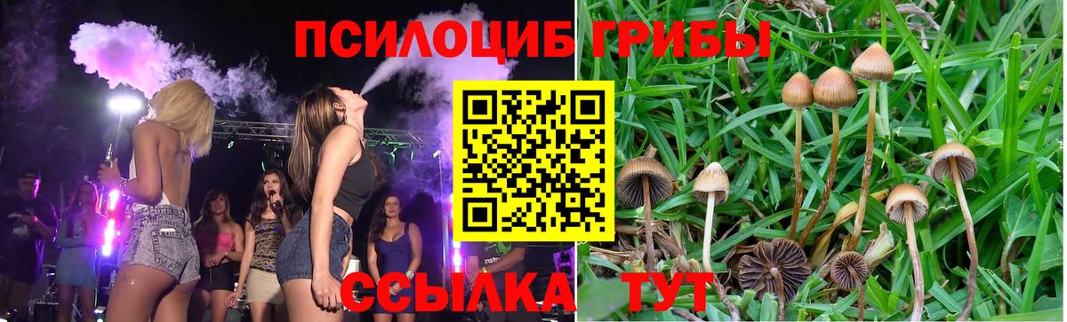 Галлюциногенные грибы мицелий Ишим
